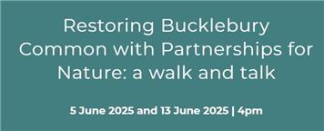 Restoring Bucklebury Common with Partnerships for Nature: a walk and talk